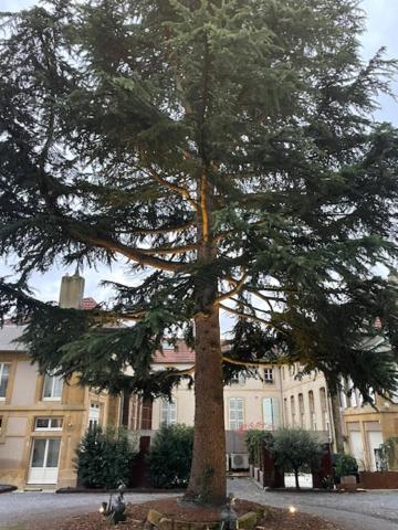 La Cour De La Tresorerie Мец Екстериор снимка
